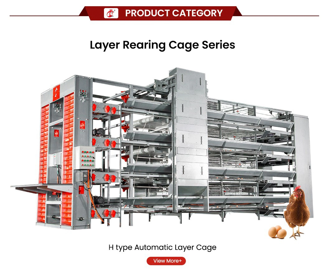 Bestchickencage Ordinary Type Layer Cage China Chain Link Chicken Layer Coop Factory Free Sample Centrally Adjust Waterline Design Cage Free Chicken Egg Farm