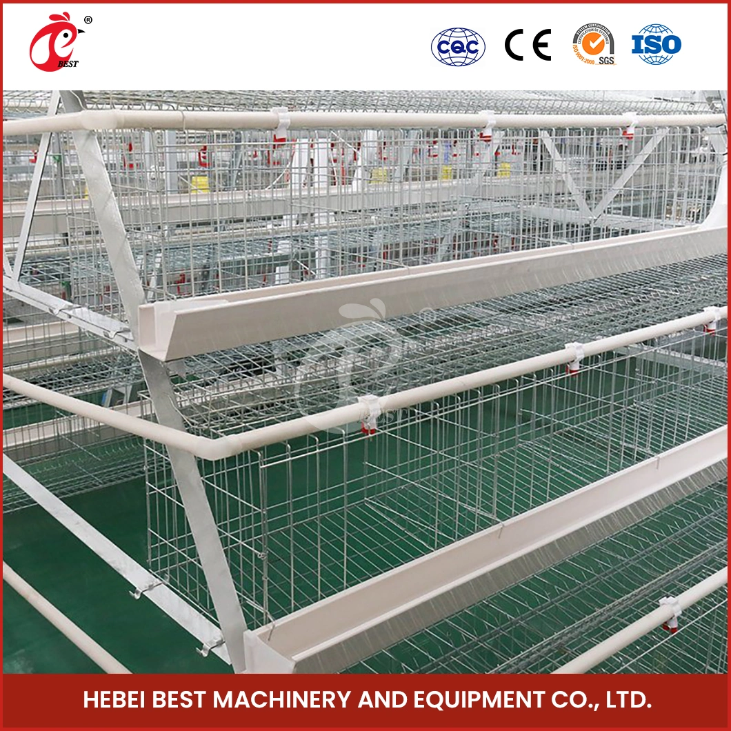 Bestchickencage Ordinary Type Layer Cage China Chain Link Chicken Layer Coop Factory Free Sample Centrally Adjust Waterline Design Cage Free Chicken Egg Farm