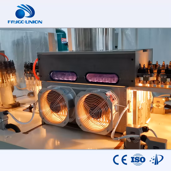 China Factory Supply 6cavity Pet Blowing Machine 10000bph