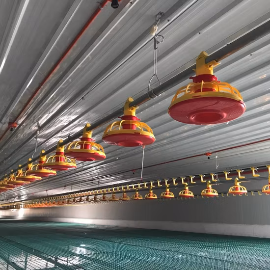 Broiler Chicken House Waterline Automatic Flat Broiler Aquaculture Waterline Equipment